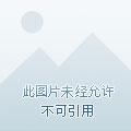 红颜乱世全文阅读免费阅读