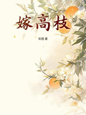 嫁高枝全文免费阅