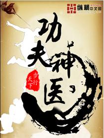 功夫神医在都市免费手机阅读